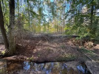 19.37 Acres, Camp Hill, Tallapo : Camp Hill : Tallapoosa County : Alabama