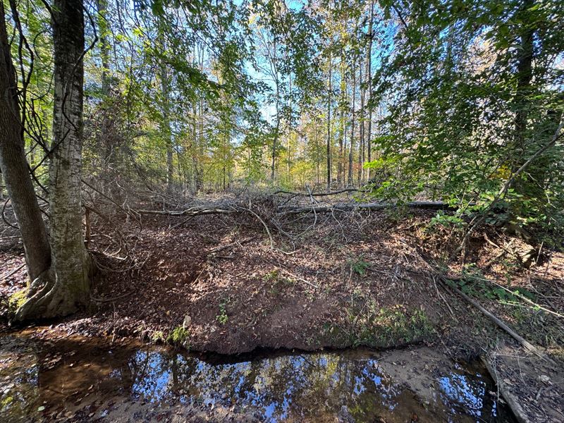 19.37 Acres, Camp Hill, Tallapo : Camp Hill : Tallapoosa County : Alabama