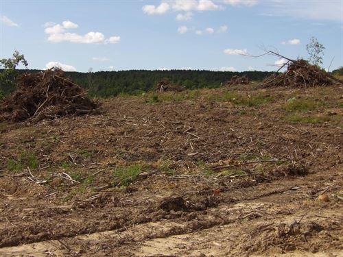 Cleared, Creek, Paved Road Frontage : Evensville : Bledsoe County : Tennessee