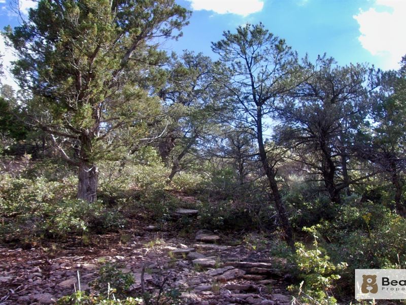 Stock Water. Stack Land. Stay Ready : Meadview : Mohave County : Arizona
