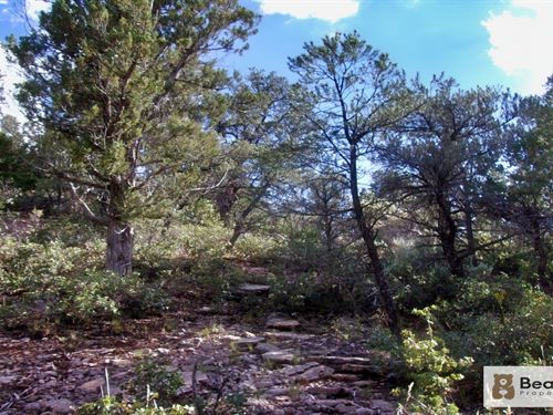 Stock Water, Stack Land, Stay Ready : Meadview : Mohave County : Arizona
