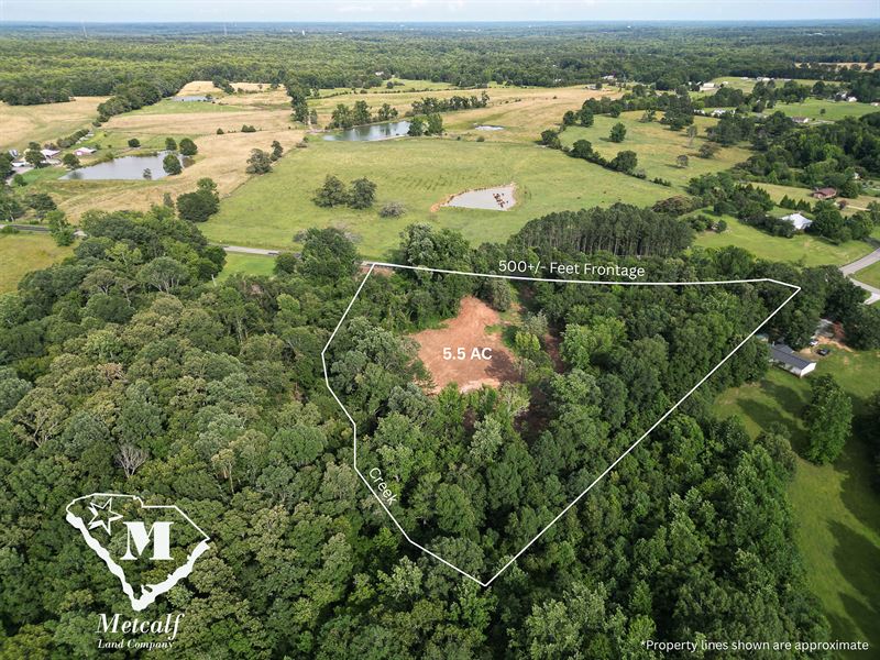 5.5 Acre Estate Lot in Gray Court : Gray Court : Laurens County : South Carolina