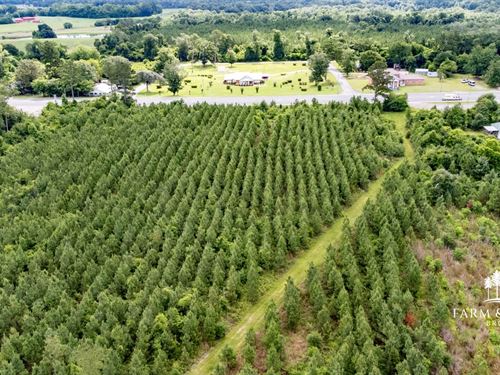 Quail Call Heights, 84 Ac Developm : Cottondale : Jackson County : Florida