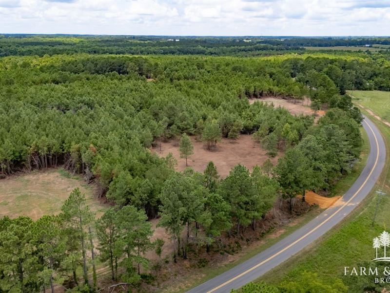 4.11 Ac Geneva Co, County Road 9 : Chancellor : Geneva County : Alabama
