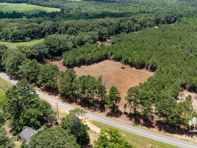 5 Ac Geneva Co, County Road 99 : Chancellor : Geneva County : Alabama