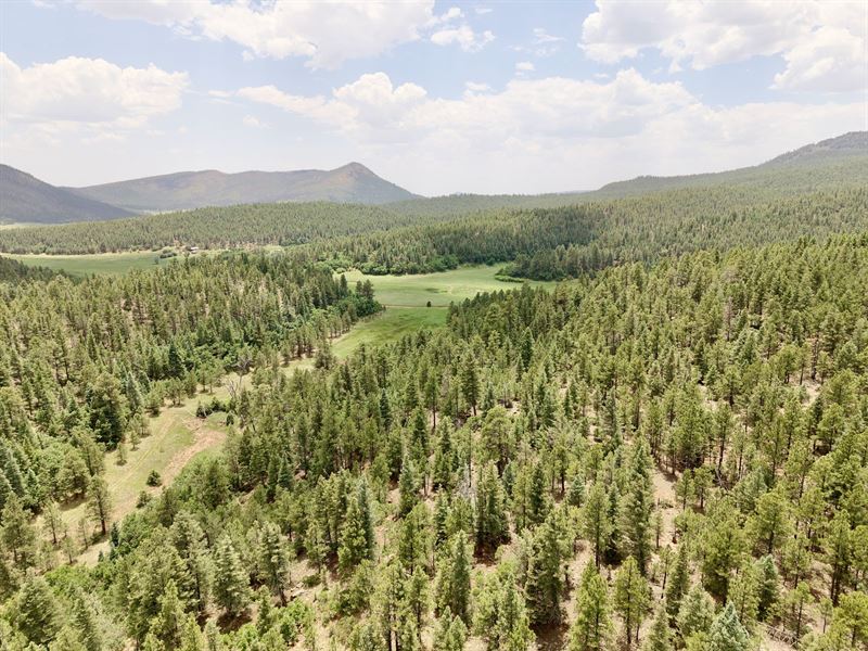 Ocate Mesa Hunting Camp : Ocate : Colfax County : New Mexico