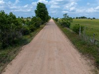 Sealy Farms, T-9, 1.25 Acres, Wo : Sealy : Austin County : Texas