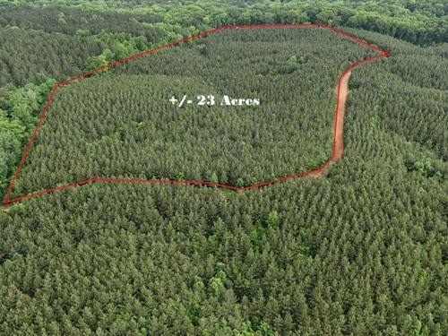 CR 323 23 Acres : Iuka : Tishomingo County : Mississippi