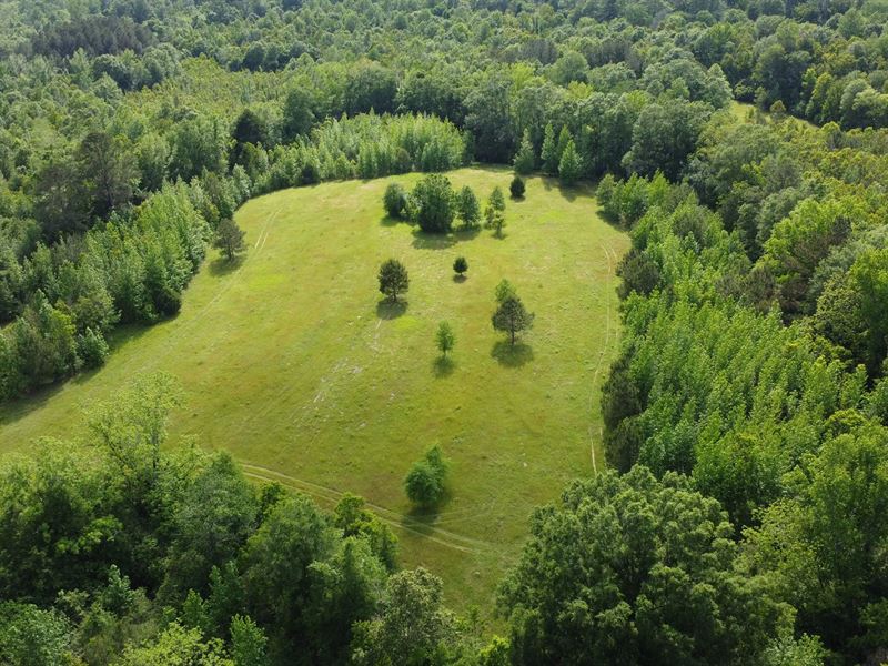 38 Acres in Jefferson Davis County : Carson : Jefferson Davis County : Mississippi