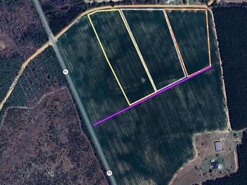 3 Homesites, 10 Acres Each : Marianna : Jackson County : Florida