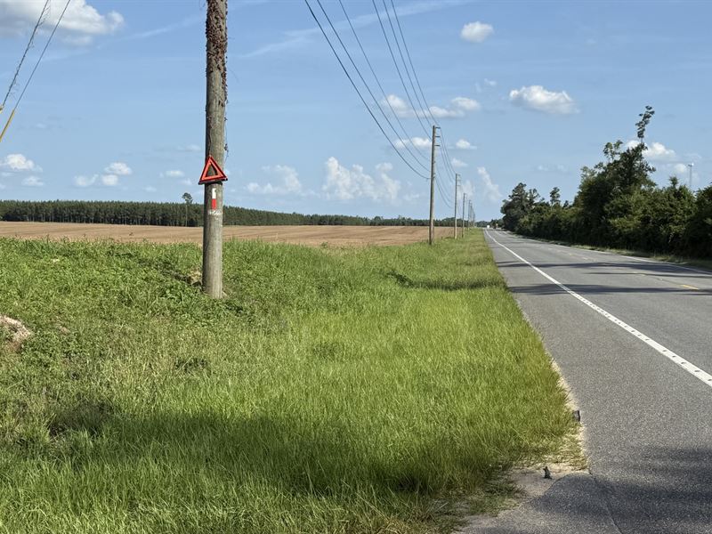 Hwy 71 & Mission Road 10 Acre Tract : Marianna : Jackson County : Florida