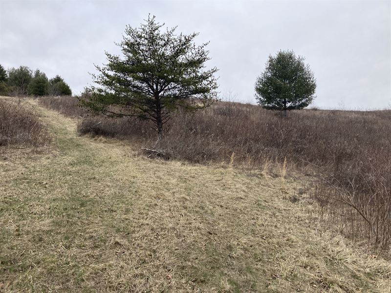1.94 Acres, $719 Down : Grassy Creek : Ashe County : North Carolina