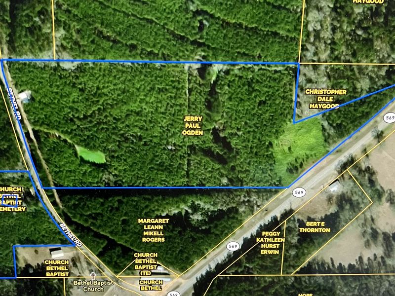 15.20 Ac Hwy 569, Liberty, MS : Liberty : Amite County : Mississippi