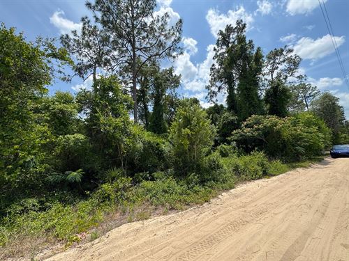 Quiet Neighborhood Homesite : Fort Mc Coy : Marion County : Florida