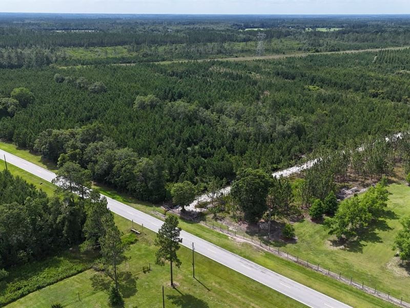 Trudie Road Retreat : Blackshear : Pierce County : Georgia