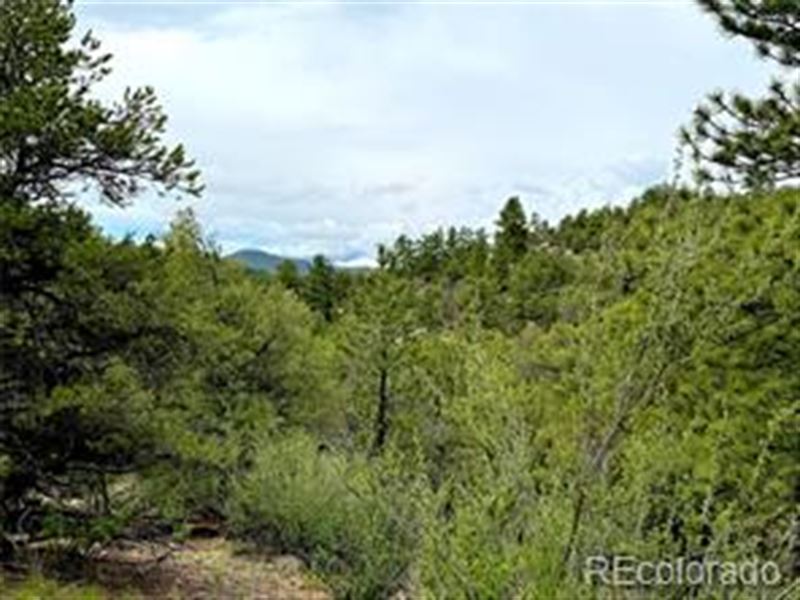 Mountain Retreat : Cotopaxi : Fremont County : Colorado