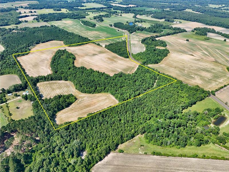 Dupree Tract : Ashford : Houston County : Alabama