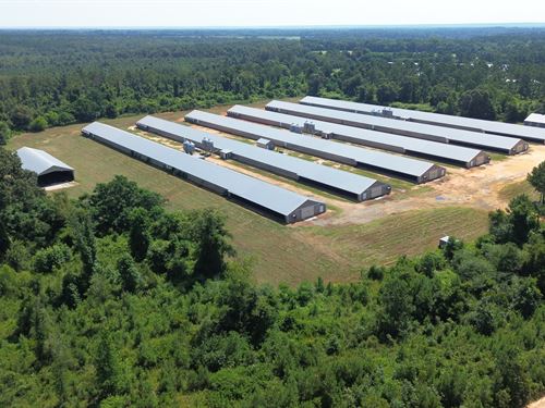 Upgraded 6 Hse Broiler Poultry Farm : Ideal : Macon County : Georgia