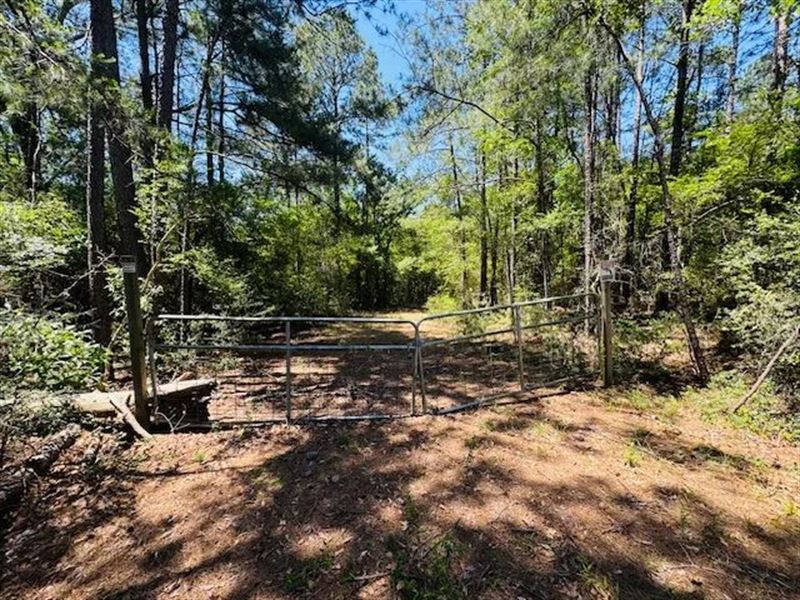 Unfinished Home On 18 Acres / Brock : Tylertown : Walthall County : Mississippi