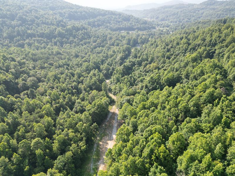 Sawmill Hollow 38 : Williamsburg : Whitley County : Kentucky