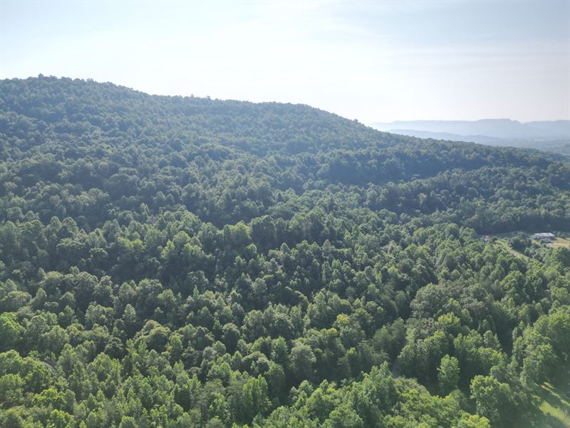Sawmill Hollow North 200 : Williamsburg : Whitley County : Kentucky