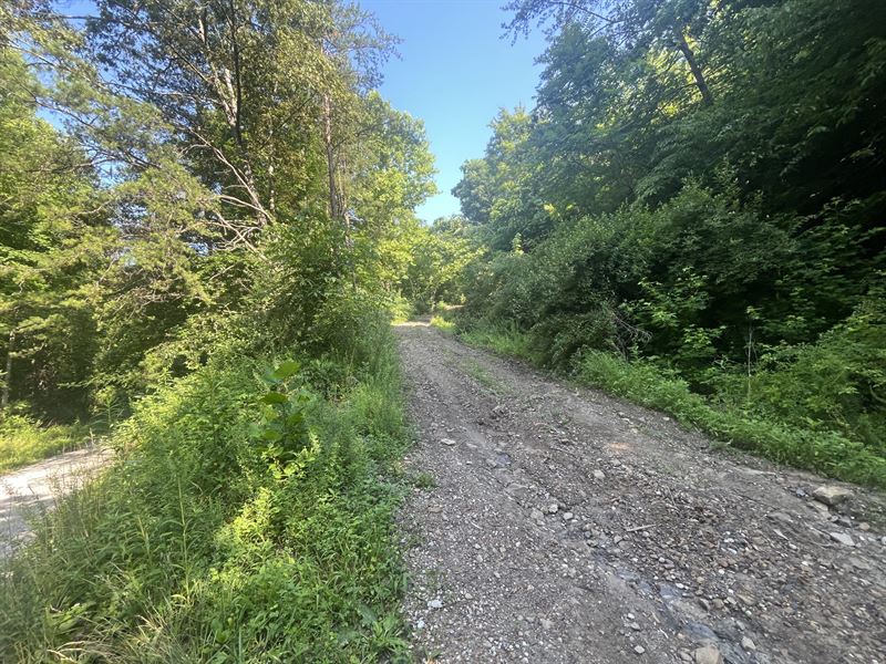 Sawmill Hollow South 200 : Williamsburg : Whitley County : Kentucky