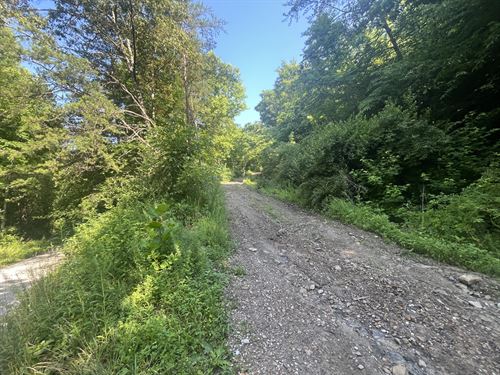 Sawmill Hollow 200 : Williamsburg : Whitley County : Kentucky