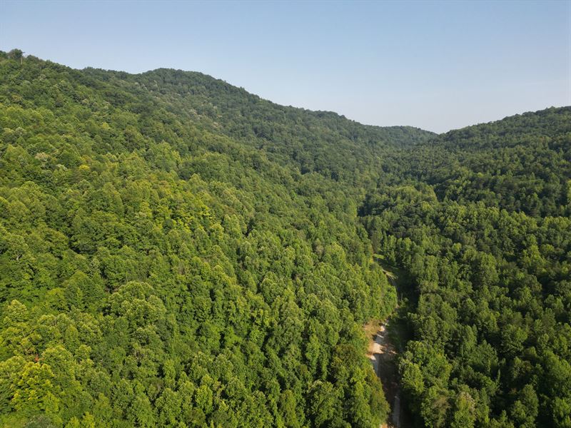 Adams Branch 35 : Williamsburg : Whitley County : Kentucky