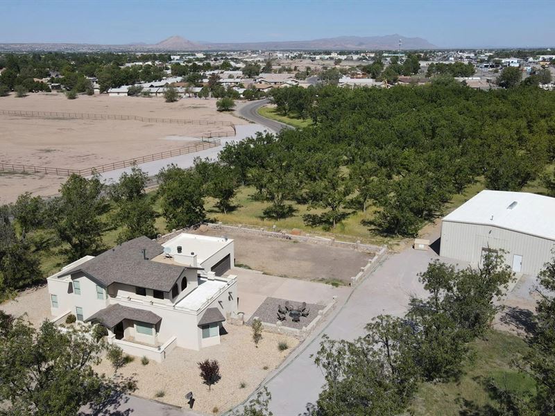 The Grove at Mesilla : Las Cruces : Dona Ana County : New Mexico