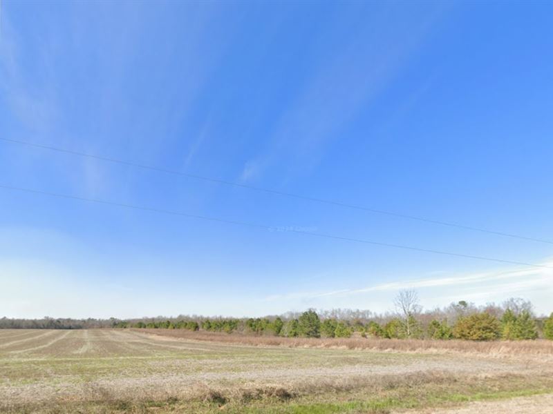 No Zoning, No Limits : Adrian : Laurens County : Georgia
