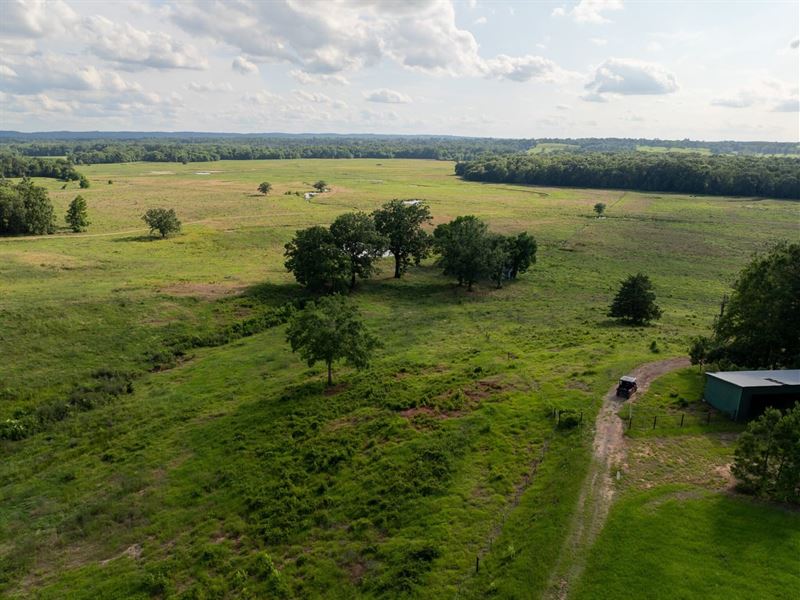 800 Acres, Sandy Creek Ranch, Hig : Martinsville : Shelby County : Texas