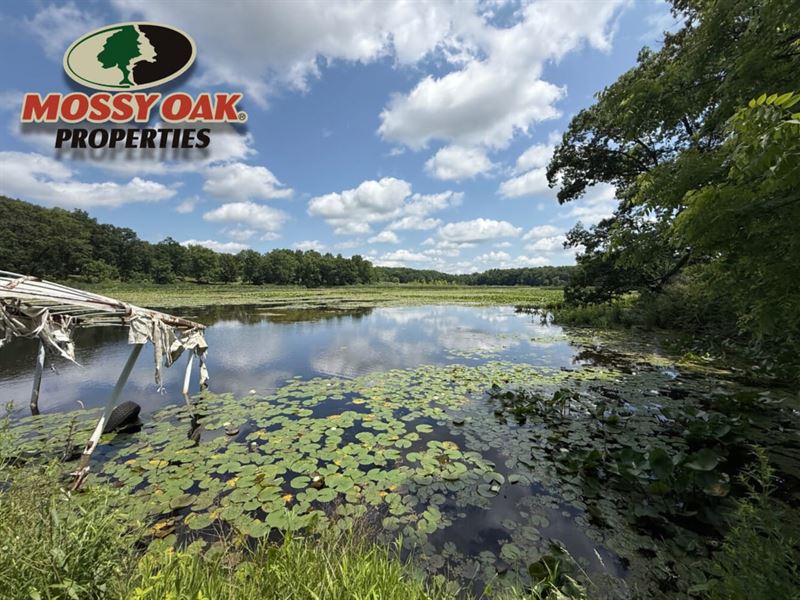 40 Acres / 9402 Sr17 Plymouth : Plymouth : Marshall County : Indiana