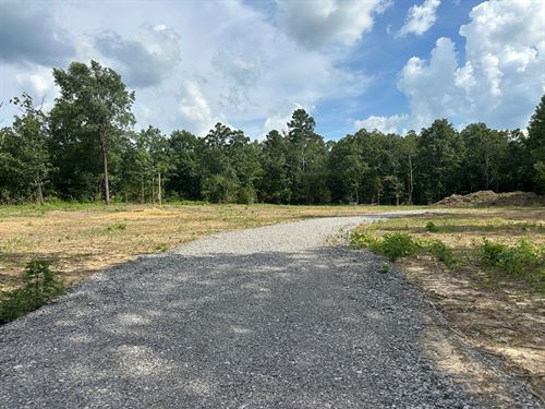 3 Acres, Septic Installed, Mete : Pleasant Plains : Independence County : Arkansas