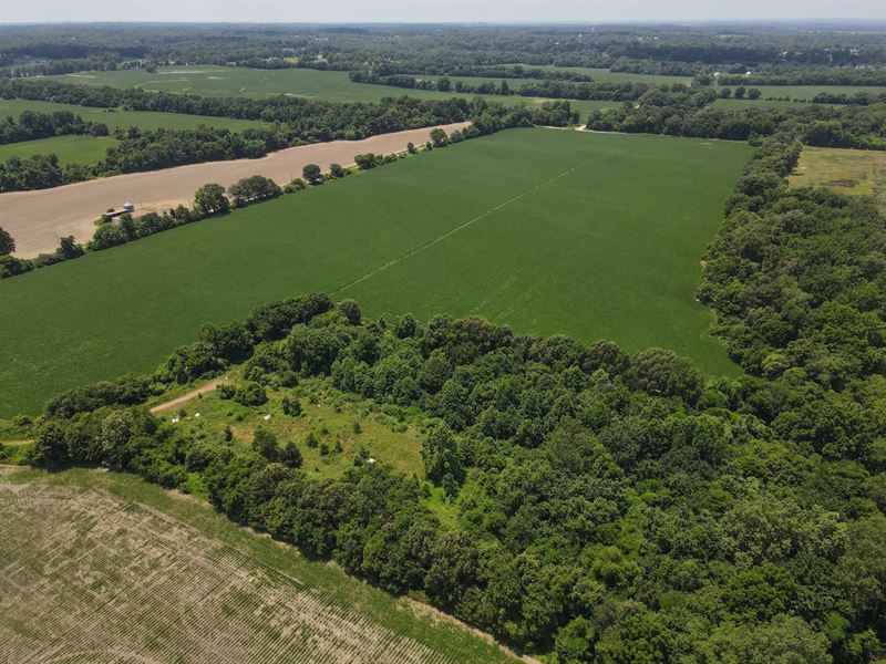 Secluded 6 Acres for Sale in Bloomf : Bloomfield : Stoddard County : Missouri