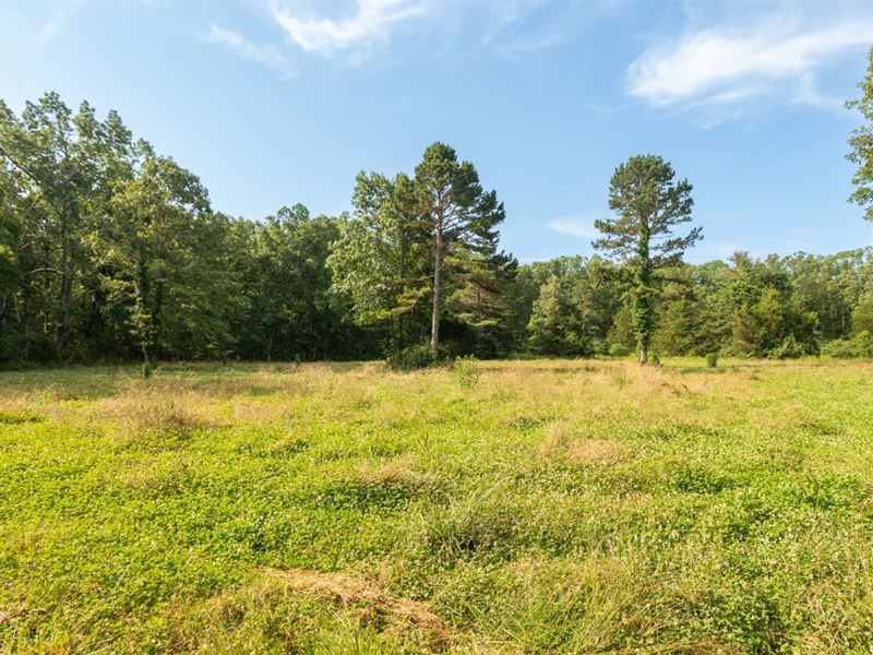 36 Acres of Recreational Land : Grandin : Ripley County : Missouri