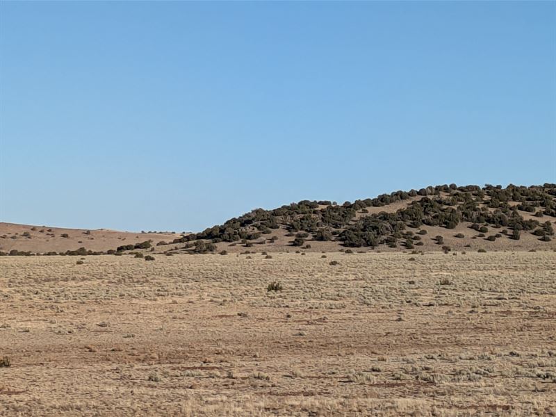 Legacy 1.01 Acre in AZ : Concho : Apache County : Arizona