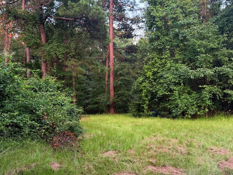 Developed Investment / Recreational : Lumpkin : Stewart County : Georgia