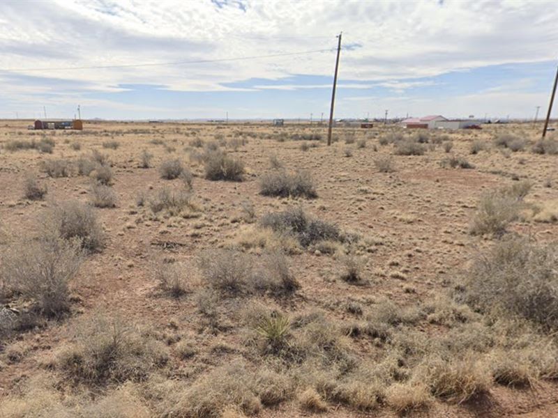 $100 Gets You Land in Sun Valley AZ : Sun Valley : Navajo County : Arizona