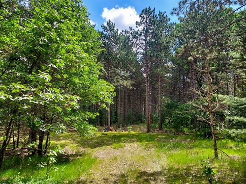 4.63 Acres North of Wis Dells : Adams : Wisconsin