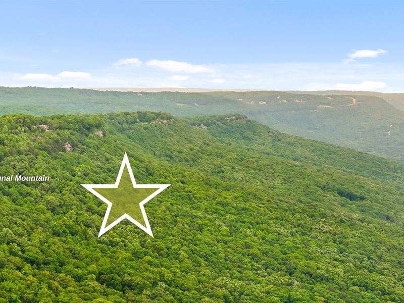 200 Acres on Side of Signal Mtn : Signal Mountain : Hamilton County : Tennessee