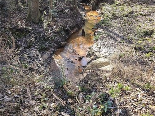 310 to Yuma : Ariton : Dale County : Alabama