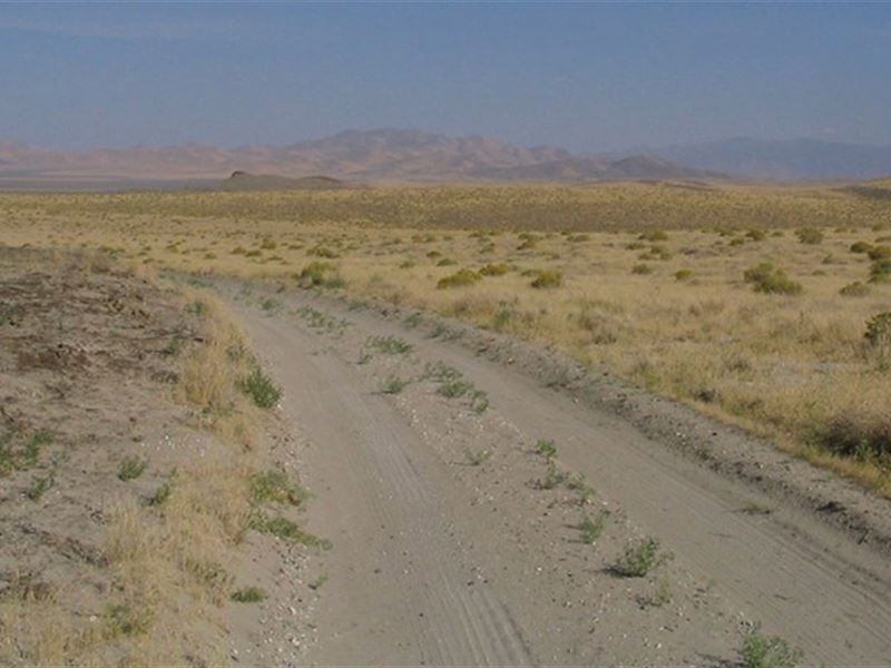 Buy Now, Mountain Neighbor Land : Winnemucca : Humboldt County : Nevada