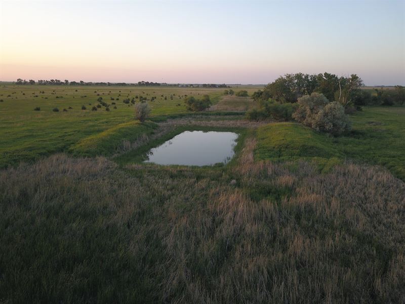 Dps Upland Reserve : Ashton : Spink County : South Dakota