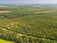 28.64 Acres of Unrestricted Land fo : Beulaville : Duplin County : North Carolina