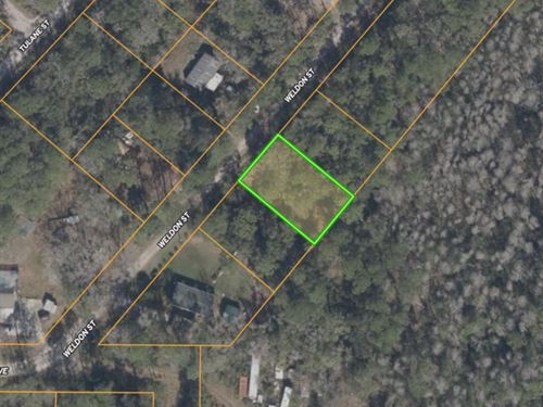 .18 Acres at Weldon Street : New Port Richey : Pasco County : Florida