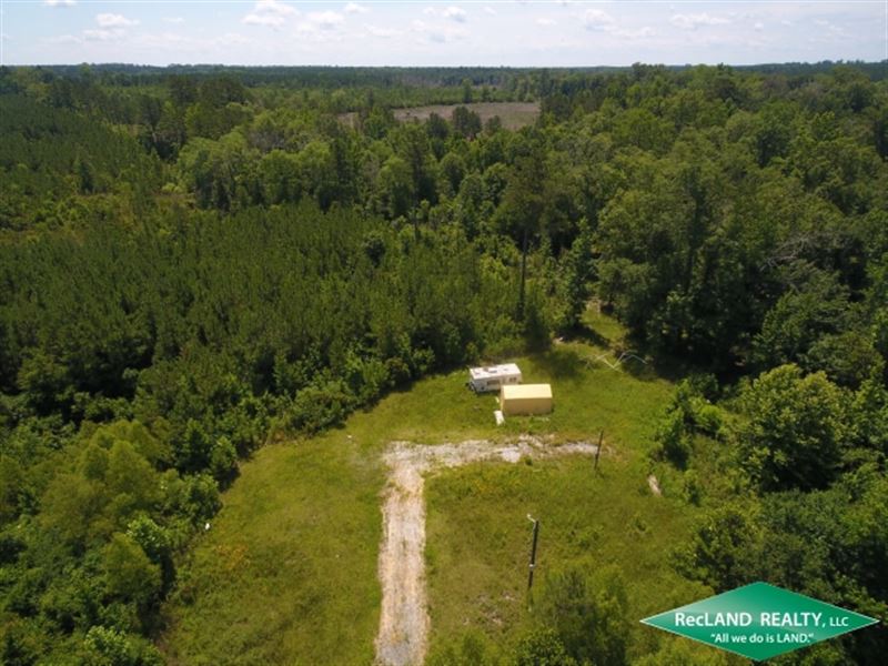 77.8 Ac Afforadable Hunting Tract : Sikes : Winn Parish : Louisiana