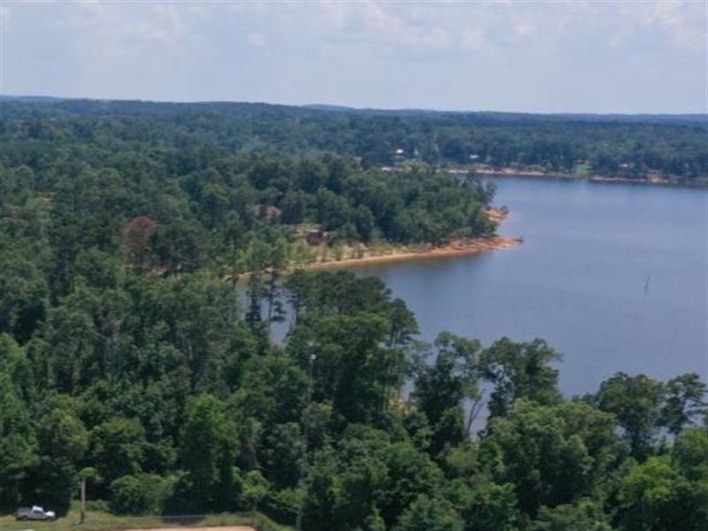 Peaceful Wooded Lot in Avinger, TX : Avinger : Marion County : Texas