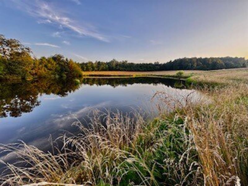 Western Grove Acreage with Large po : Western Grove : Newton County : Arkansas