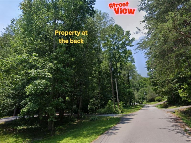 Sloped Beauty : Chickamauga : Walker County : Georgia