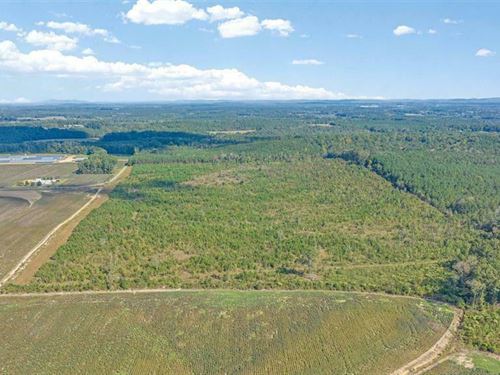 Bryan 60 Acres : Centre : Cherokee County : Alabama